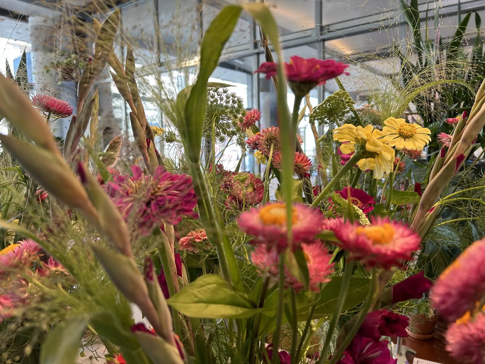 Dahlien und Wildblumen im Laden